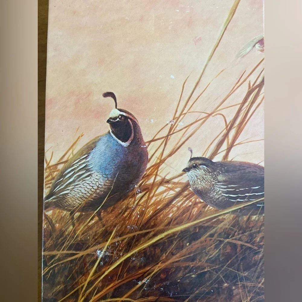 Vintage AVON Quail Decanter Wild Country Men Aftershave Original Box Full 1970s